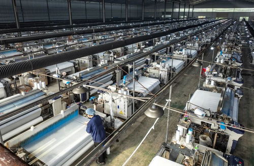 零陵區黃田鋪鎮 產業發展多元化 強鎮建設動能足